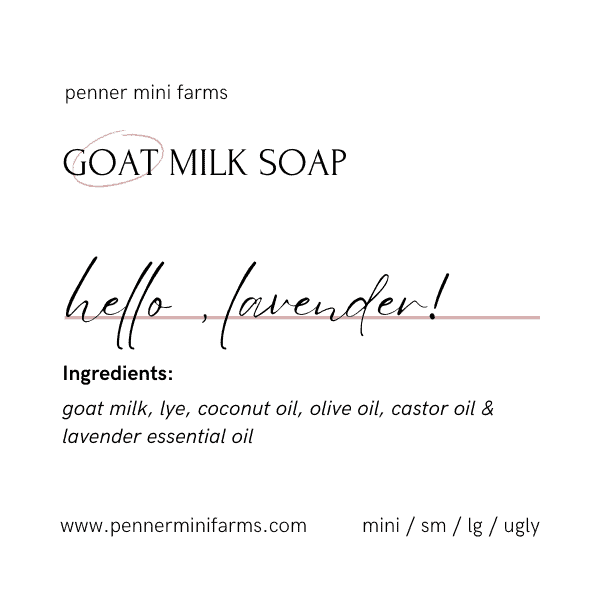 Hello, Lavender! Goat Milk Soap