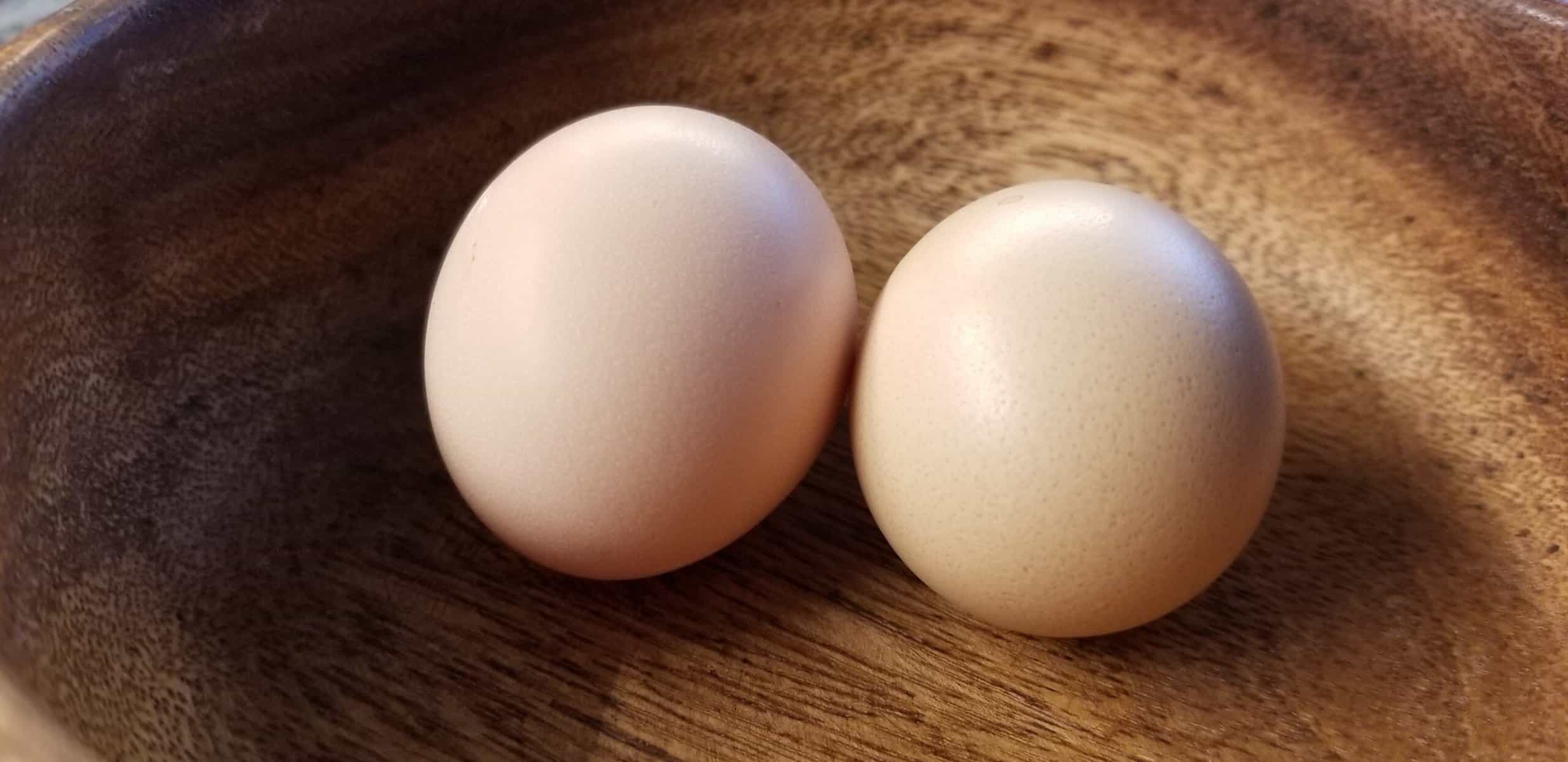 two-eggs