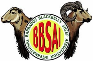 BBSAI Logo